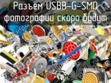 Разъем USBB-G-SMD 