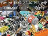 Разъем TKX2-2.5-02 PCB jack 