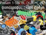Разъем 1-504 BL (XLR-MC-107) 