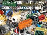 Вилка A1001-STM-03AW 
