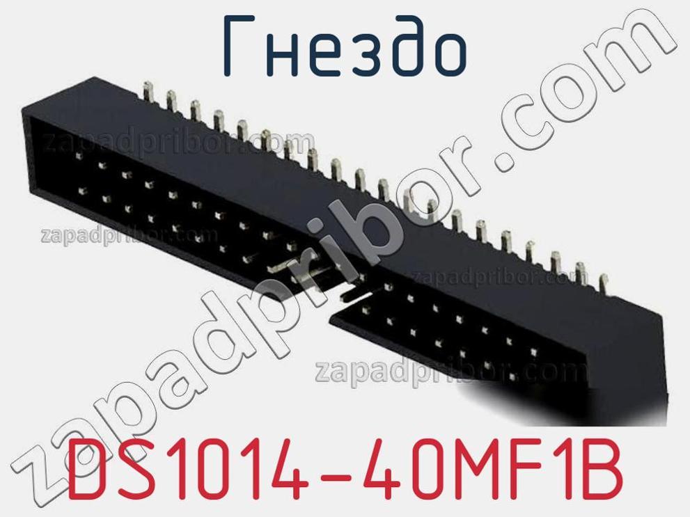 DS1014-40MF1B - Гнездо - фотография. Увеличить. DS1014-40MF1B - Гнездо - фотография.