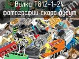 T812-1-24