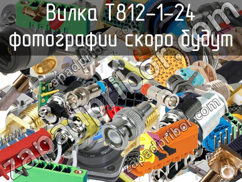 Вилка T812-1-24 фотография.