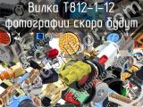 T812-1-12