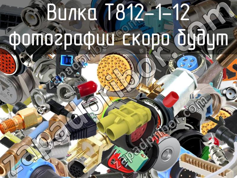 Вилка T812-1-12 фотография.