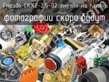 Гнездо CKX2-2.5-02 