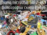 Плата microUSB 5BF2-REV 