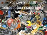 Разъем 9503081