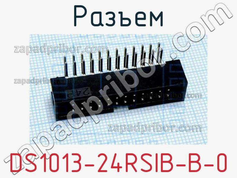 Разъем DS1013-24RSIB-B-0 фотография 1.