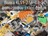 Вилка KLS1-2.54-03-S 