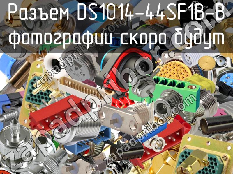 Разъем DS1014-44SF1B-B фотография.