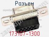 Разъем 173107-1300