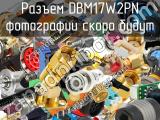 Разъем DBM17W2PN 