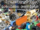 Разъем DBM25P300 