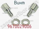 Винт 9670029006 фотография 2.
