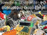 BH-16 (DS1013-16SSIB1-B-0)