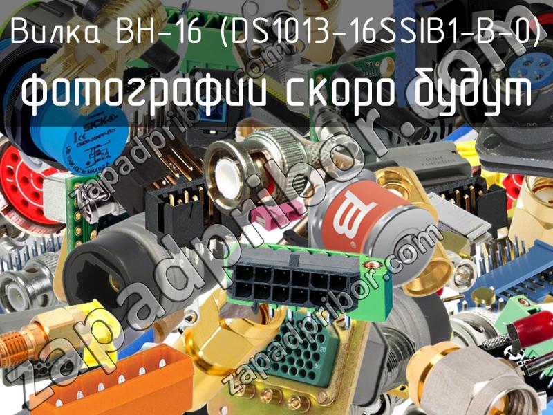 Вилка BH-16 (DS1013-16SSIB1-B-0) фотография.