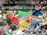 BH-16R (DS1013-16RSiB-B-0)
