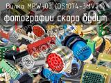 Вилка MPW-03 (DS1074-3MVT6) 