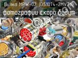 Вилка MPW-02 (DS1074-2MVT6) 