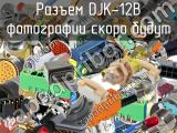 Разъем DJK-12B 