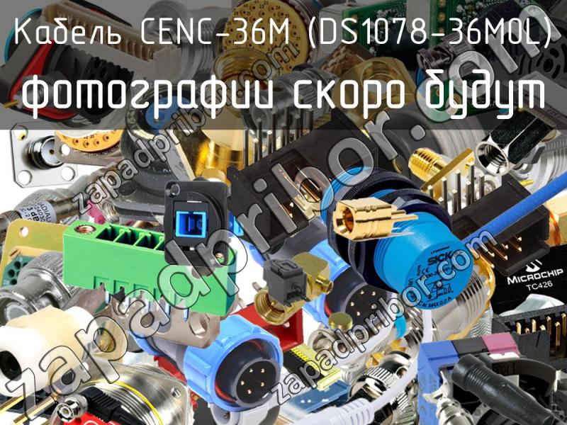 Кабель CENC-36M (DS1078-36M0L) фотография.