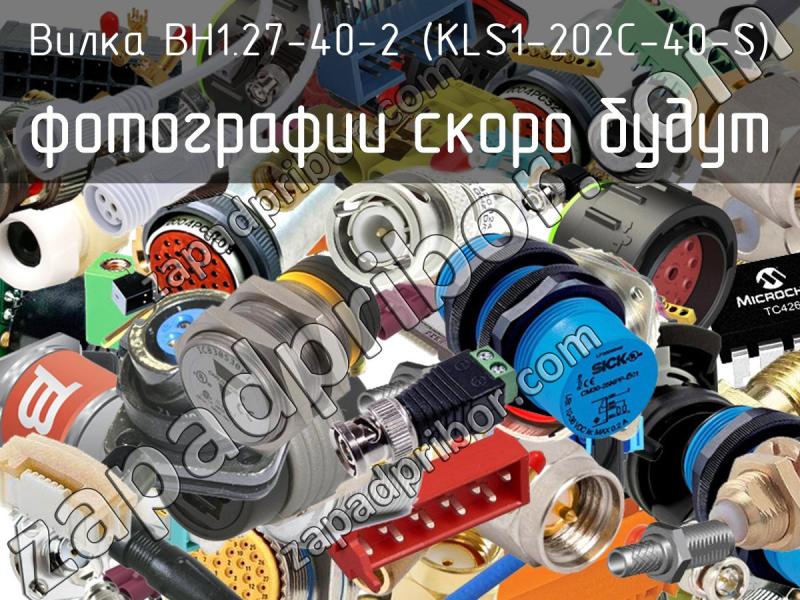 Вилка BH1.27-40-2 (KLS1-202C-40-S) фотография.