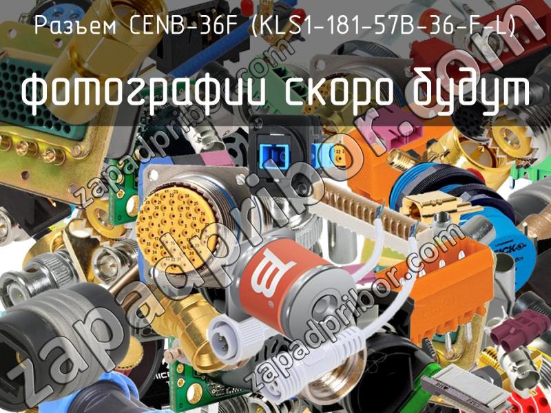 Разъем CENB-36F (KLS1-181-57B-36-F-L) фотография.