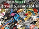 DIP S-10