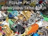 Разъем PWL-13R 