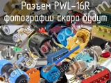 Разъем PWL-16R 