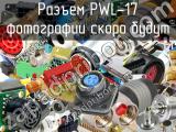 Разъем PWL-17 