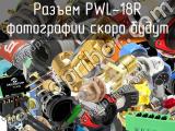 Разъем PWL-18R