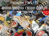 Разъем PWL-19