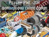 Разъем PWL-20R 