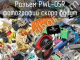 Разъем PWL-05R 