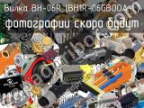 BH-06R (BH1R-06GBOOA-L)
