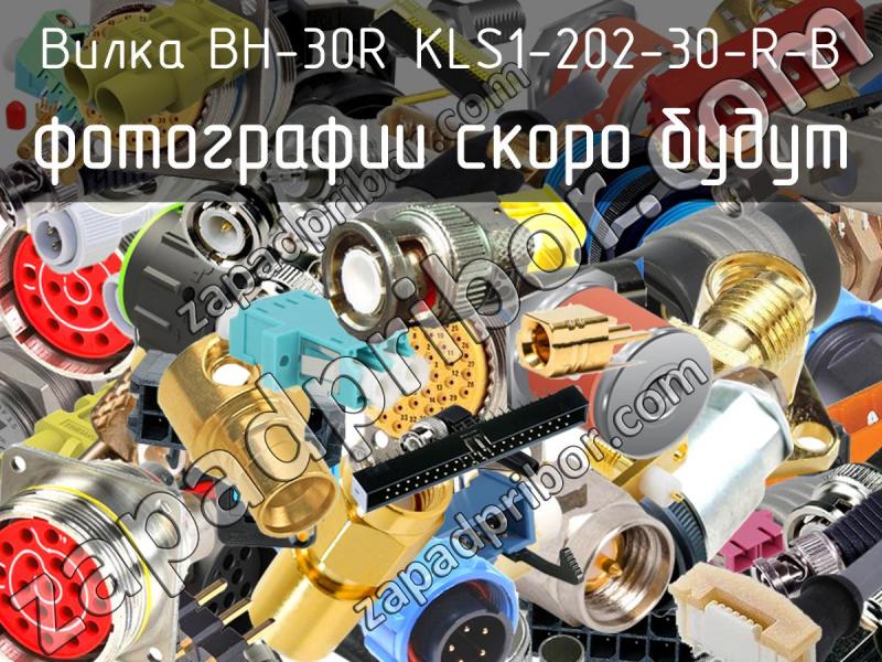 Вилка BH-30R KLS1-202-30-R-B фотография.