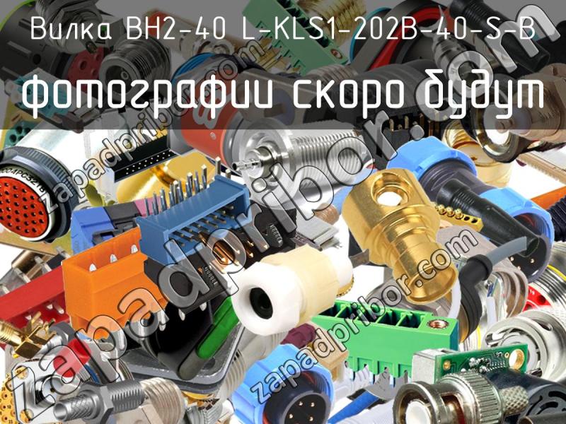Вилка BH2-40 L-KLS1-202B-40-S-B фотография.