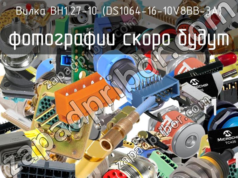 Вилка BH1.27-10 (DS1064-16-10V8BB-3A) фотография.
