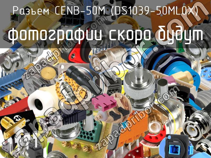 Разъем CENB-50M (DS1039-50ML0X) фотография.