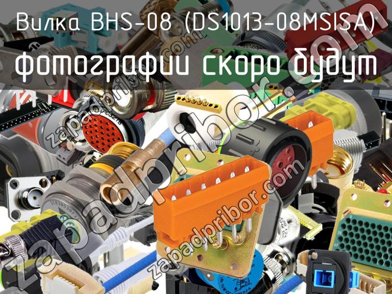 Вилка BHS-08 (DS1013-08MSISA) фотография.