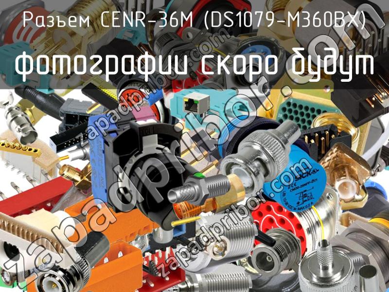 Разъем CENR-36M (DS1079-M360BX) фотография.