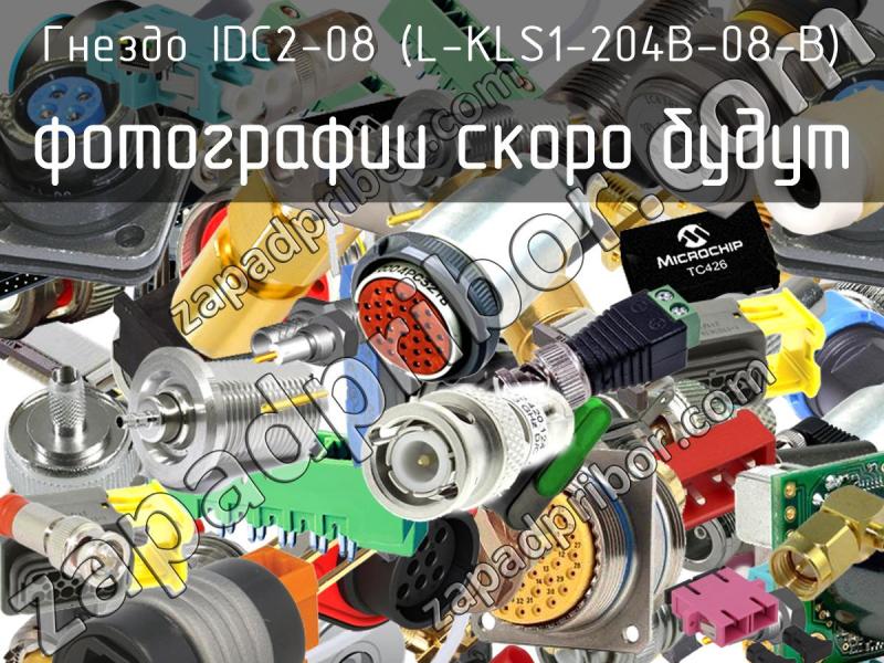 Гнездо IDC2-08 (L-KLS1-204B-08-B) фотография.