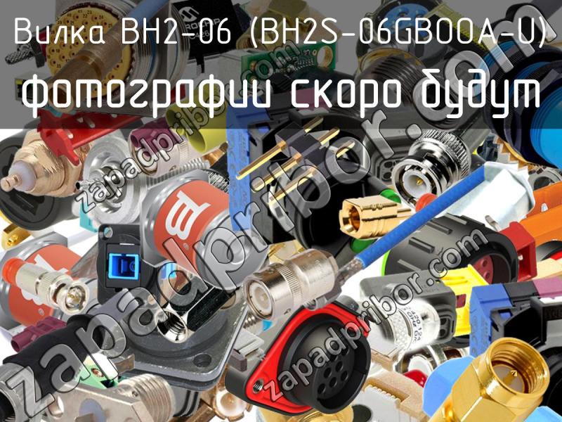Вилка BH2-06 (BH2S-06GBOOA-U) фотография.