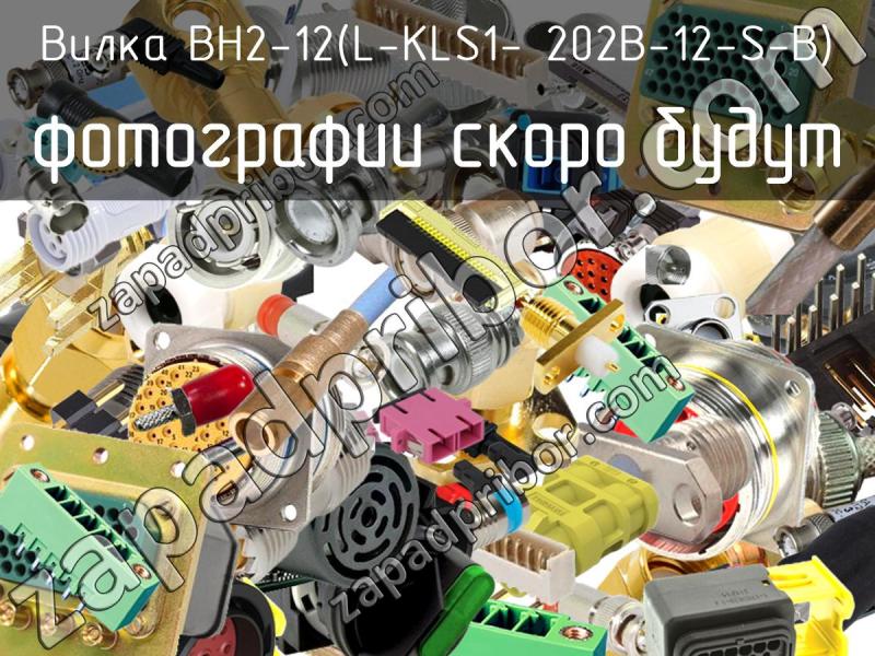 Вилка BH2-12(L-KLS1- 202B-12-S-B) фотография.