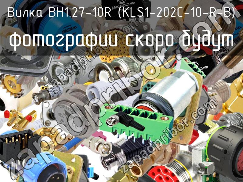 Вилка BH1.27-10R (KLS1-202C-10-R-B) фотография.