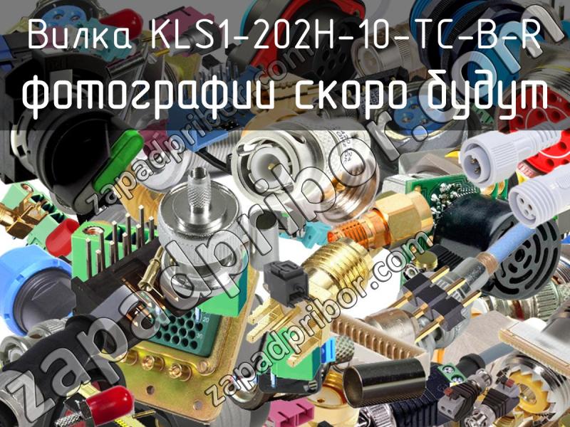 Вилка KLS1-202H-10-TC-B-R фотография.