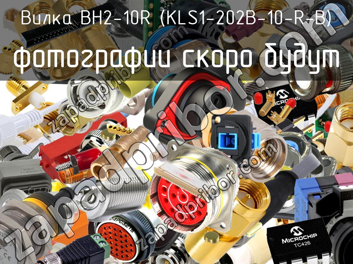BH2-10R (KLS1-202B-10-R-B) - Вилка - фотография. Увеличить. BH2-10R (KLS1-202B-10-R-B) - Вилка - фотография.