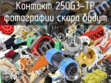 Контакт 250G3-TP 